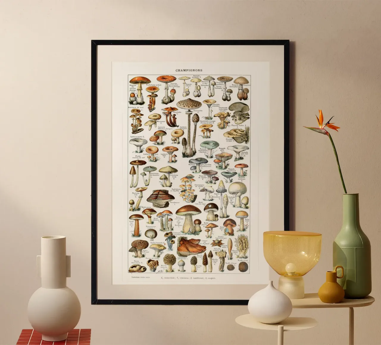 Kitchen art french vintage mushrooms art food print poster by Studio Vintage