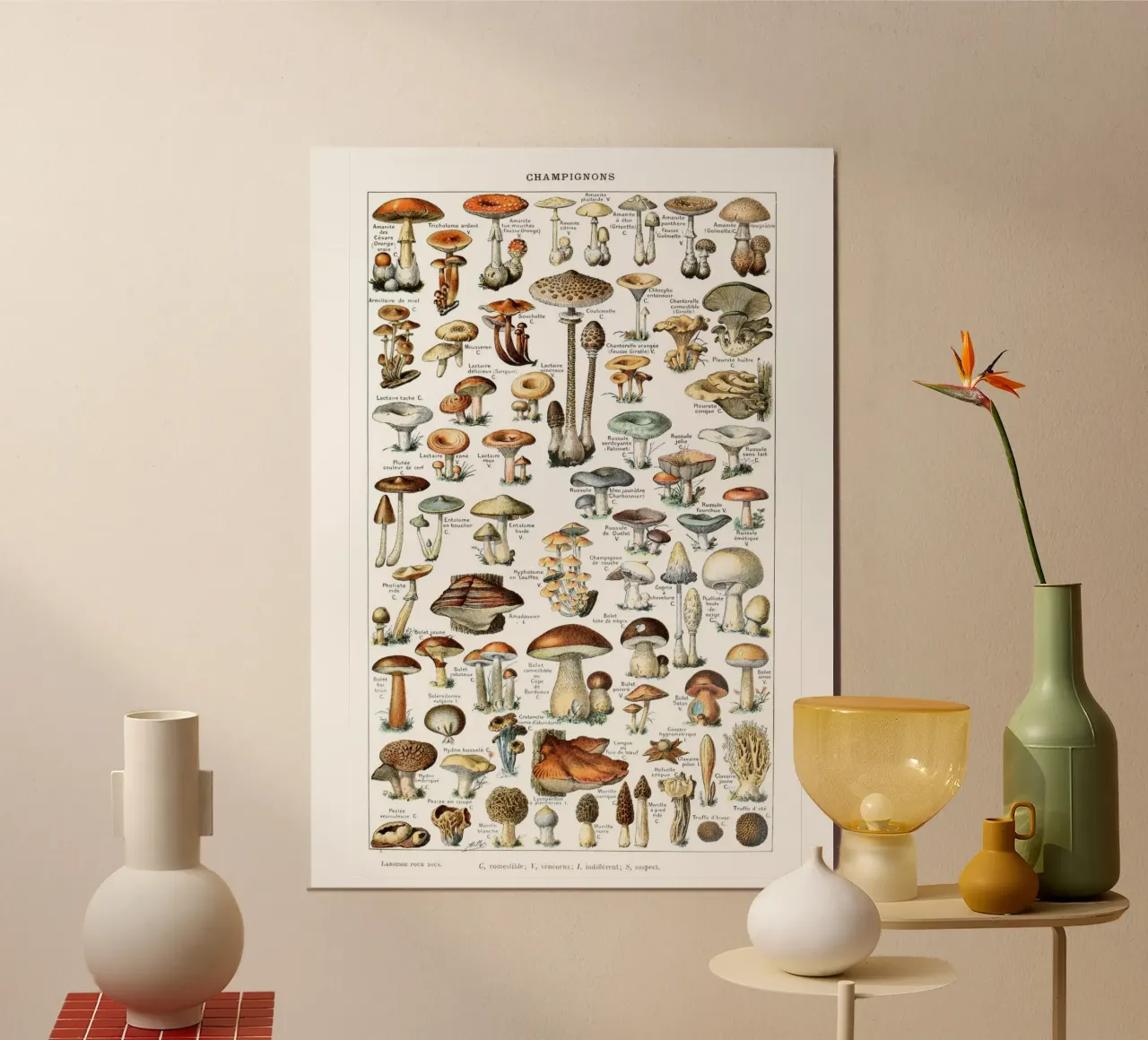 Kitchen art french vintage mushrooms art food print poster by Studio Vintage