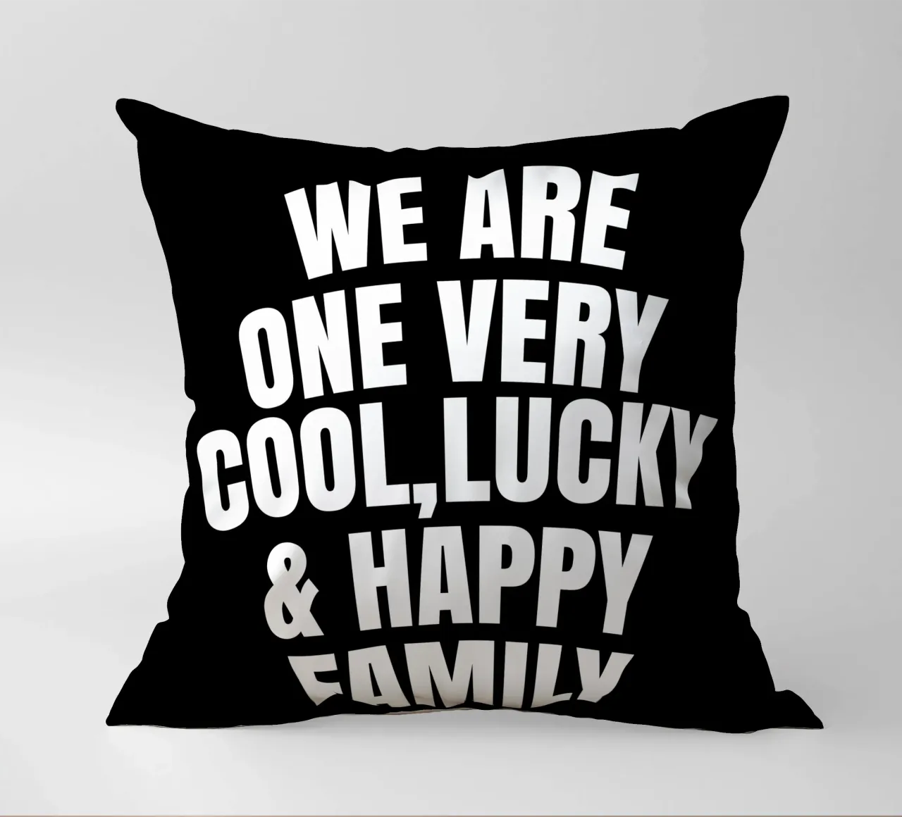 We are one very cool, lucky and happy family cuscino da happieeagle