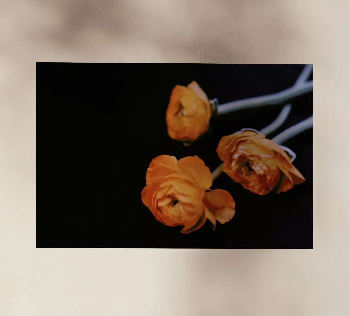 Undone pellicola backlit da Morgan Kendall