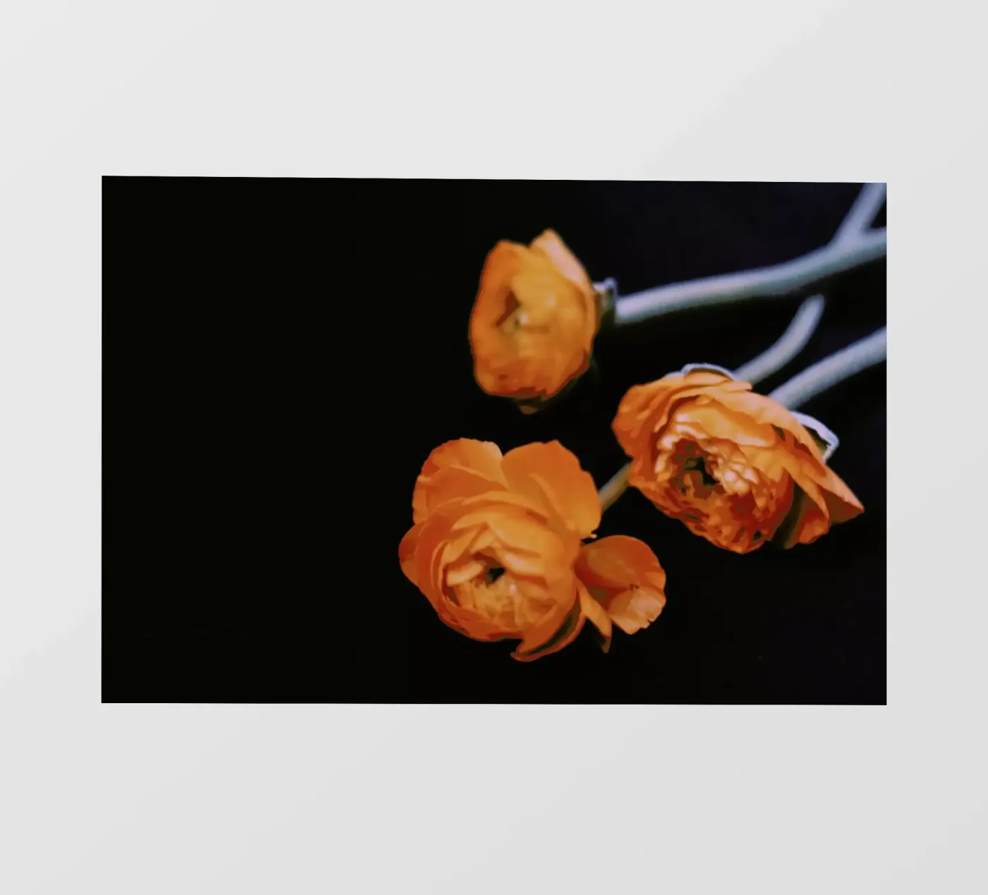 Undone pellicola backlit da Morgan Kendall