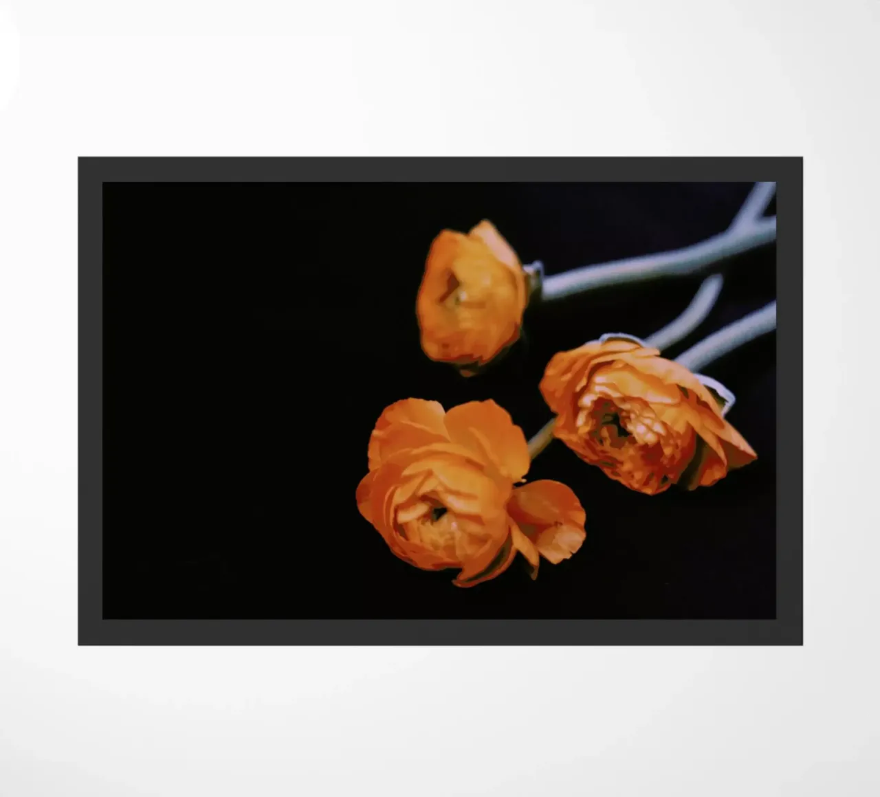 Undone zerbino da Morgan Kendall