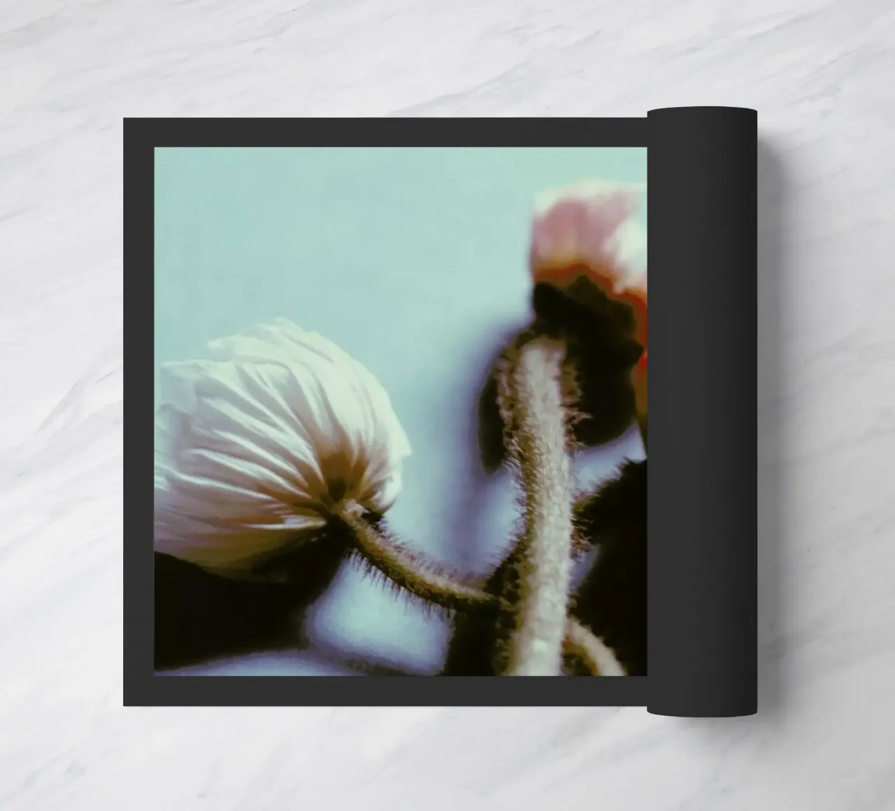 Speak Softly zerbino da Morgan Kendall