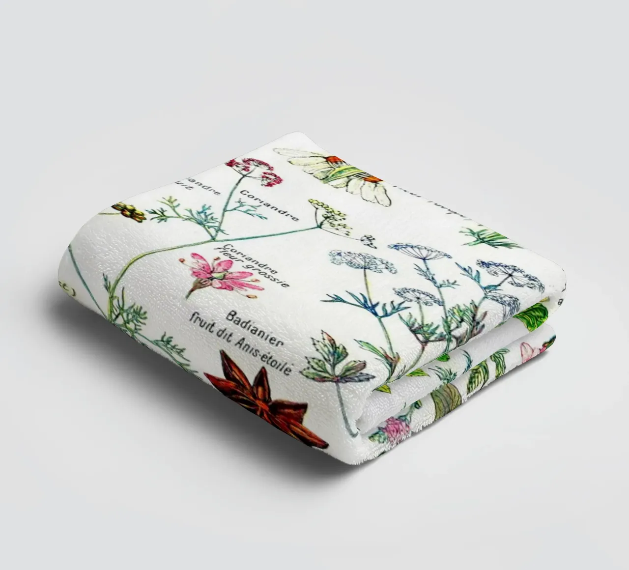 French Botanical Art of Digestive Plants Kitchen art towel by Studio Vintage