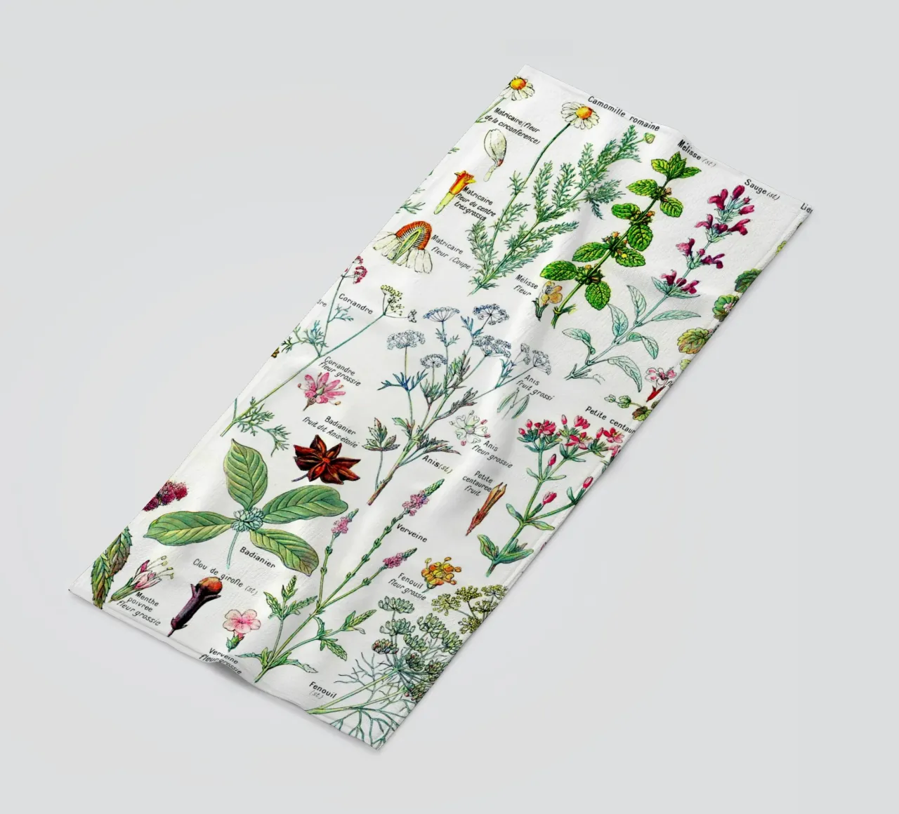 French Botanical Art of Digestive Plants Kitchen art beach towel by Studio Vintage
