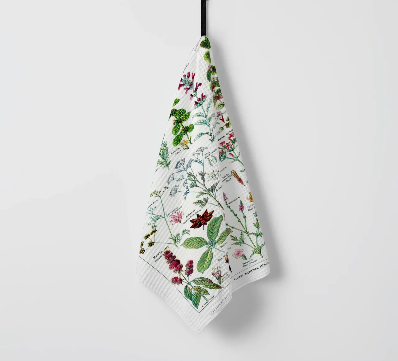 French Botanical Art of Digestive Plants Kitchen art tea towel by Studio Vintage