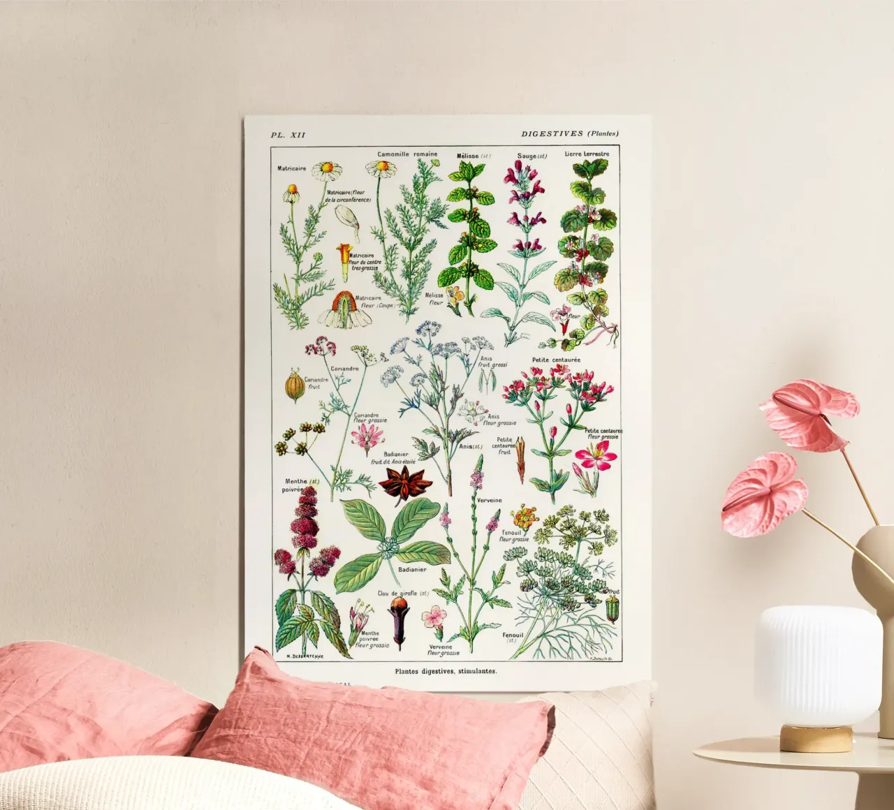 Arte botanica francese di piante digestive Arte da cucina poster con telaio in plastica da Studio Vintage