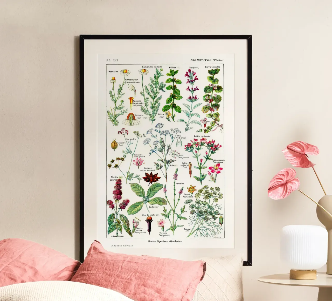 Arte botanica francese di piante digestive Arte da cucina poster con telaio in plastica da Studio Vintage