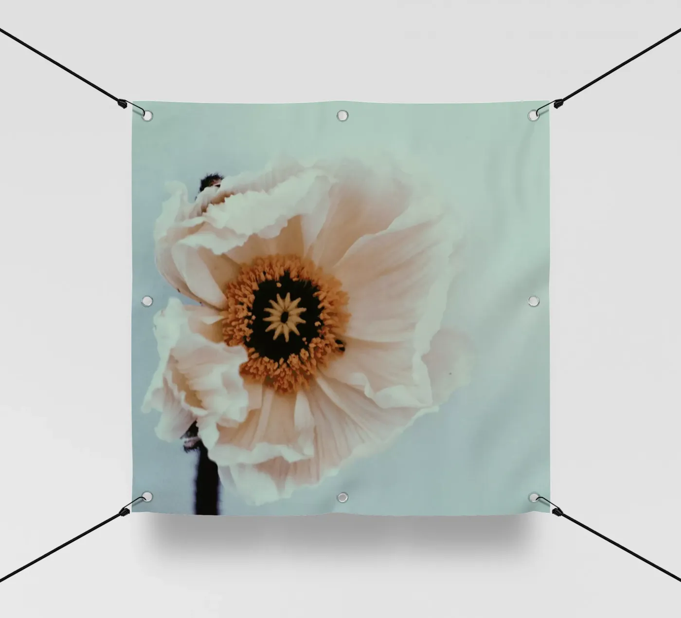 Bloom pvc cover by Morgan Kendall