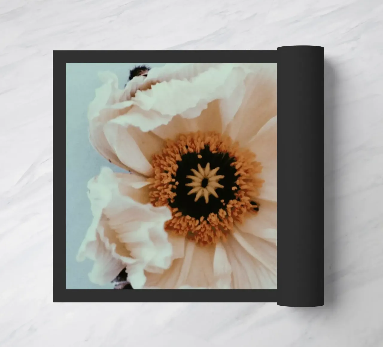 Bloom zerbino da Morgan Kendall