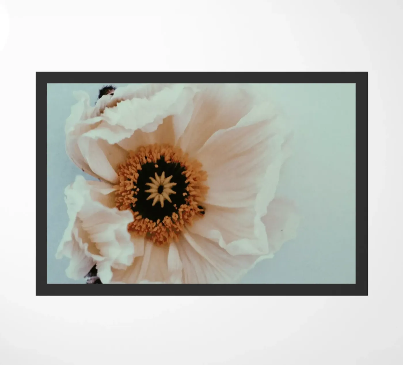 Bloom doormat by Morgan Kendall