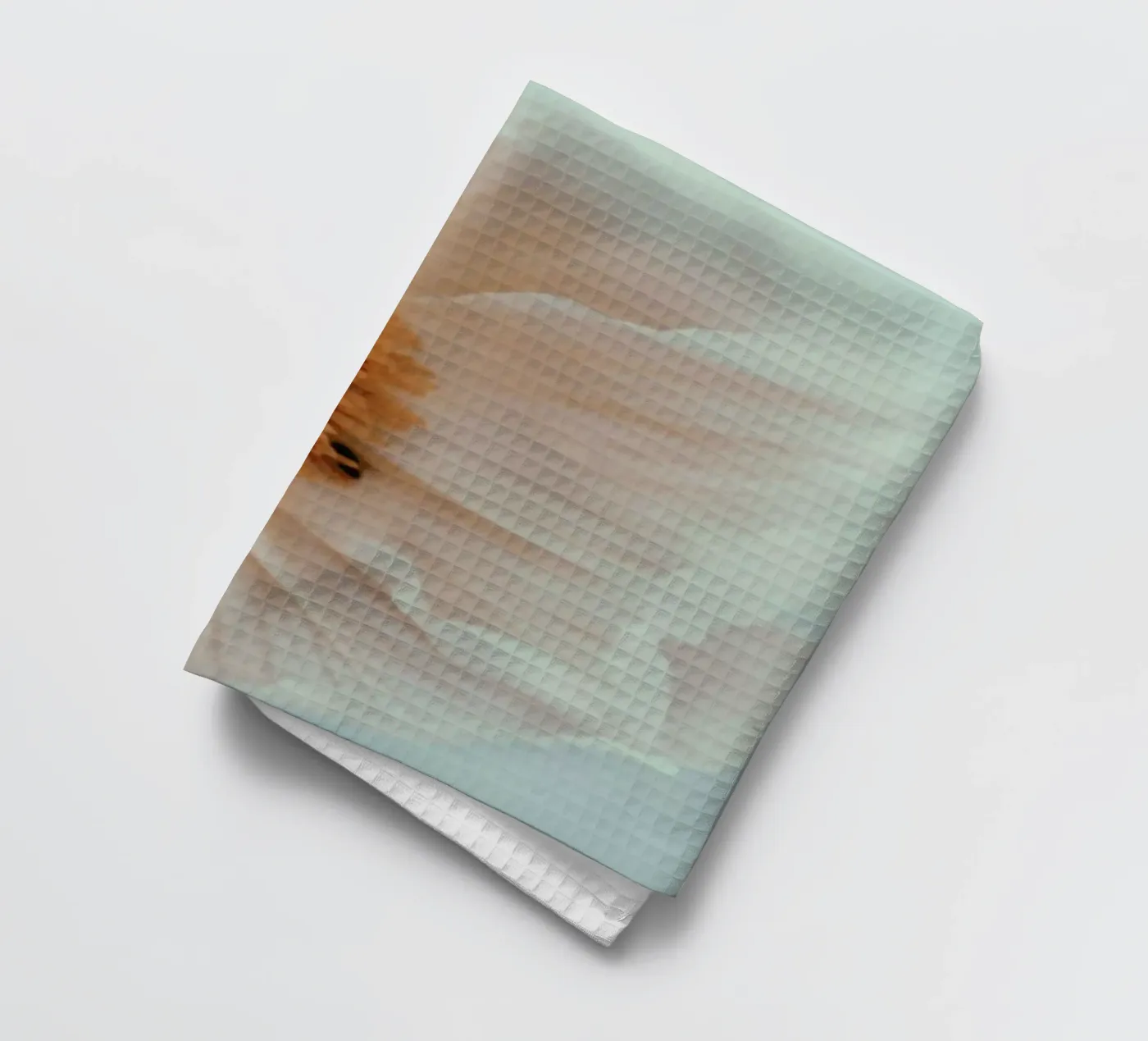Bloom tea towel by Morgan Kendall