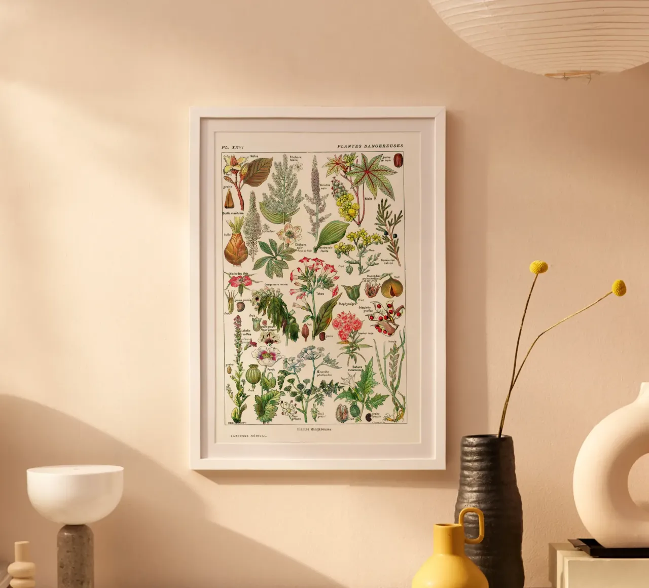 Millot Dangerous Plants: French Botanical Art poster with plastic frame by Studio Vintage