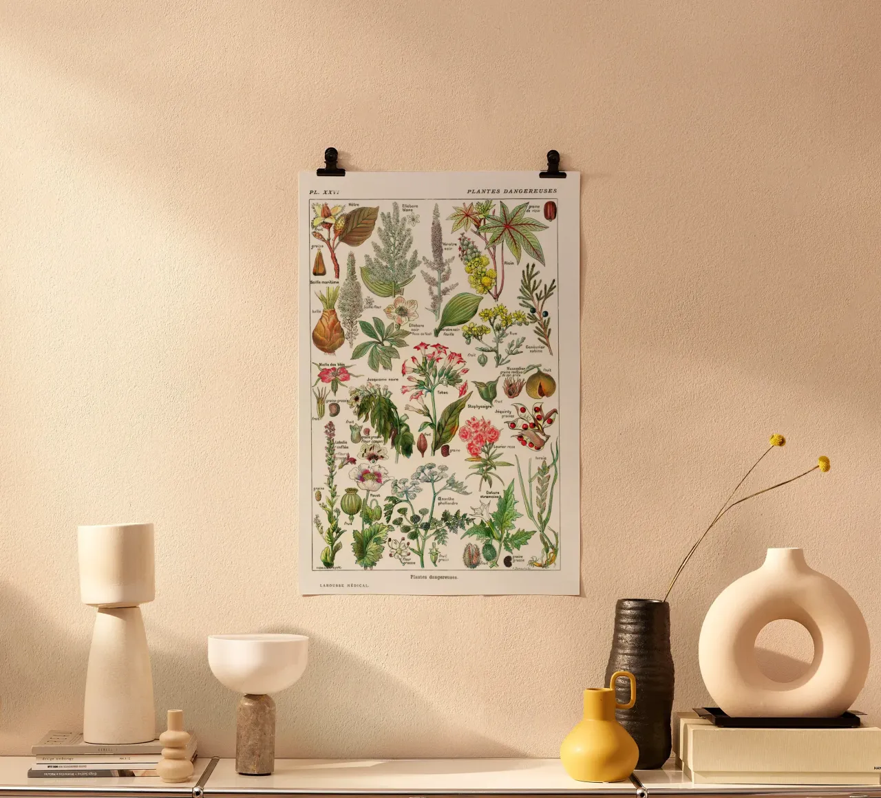 Millot Dangerous Plants: French Botanical Art poster with plastic frame by Studio Vintage