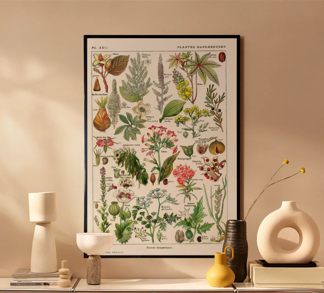 Millot Dangerous Plants: French Botanical Art poster with plastic frame by Studio Vintage
