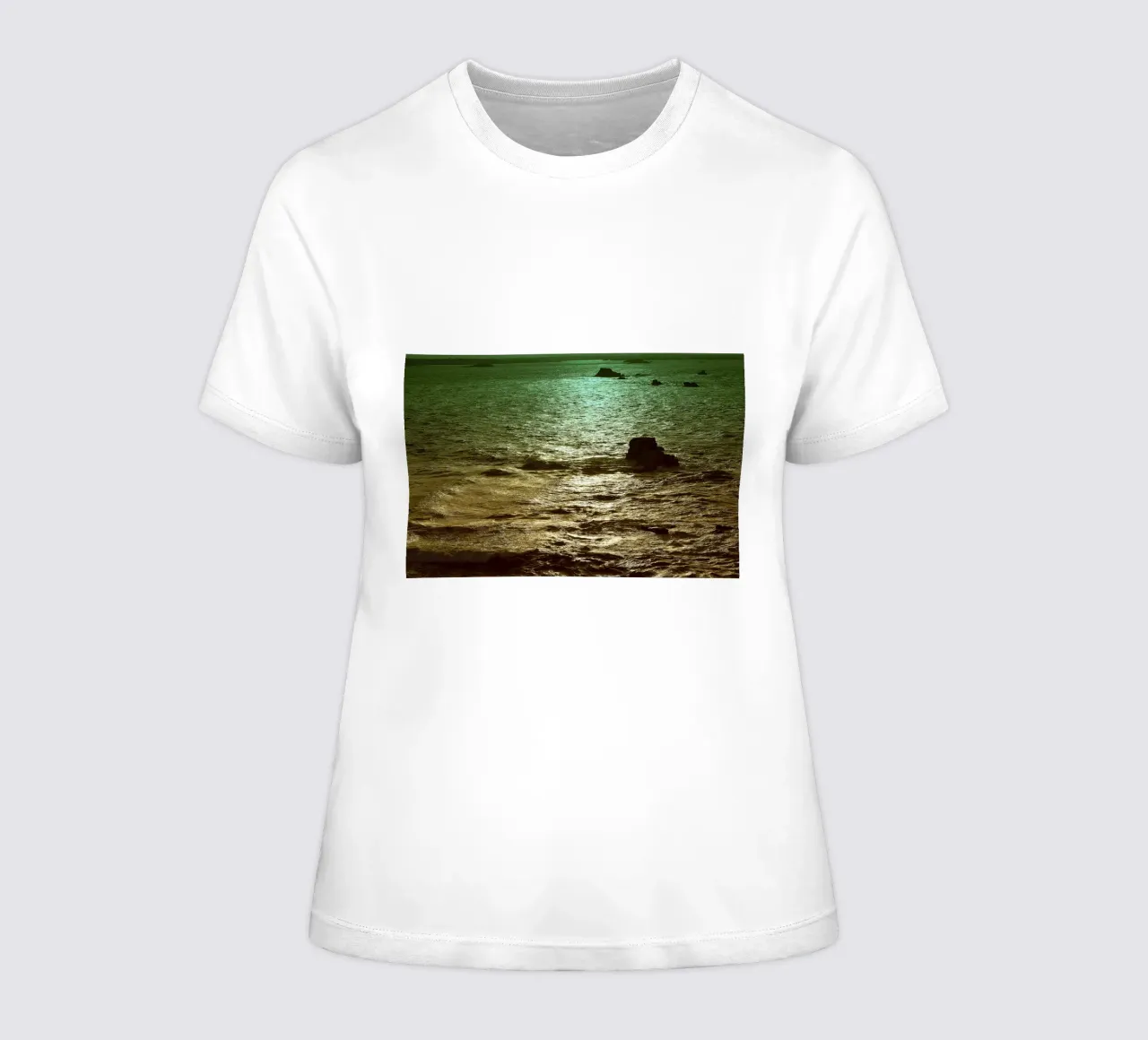 FAA120 women's fitted t-shirt by Thierry vobmann photography