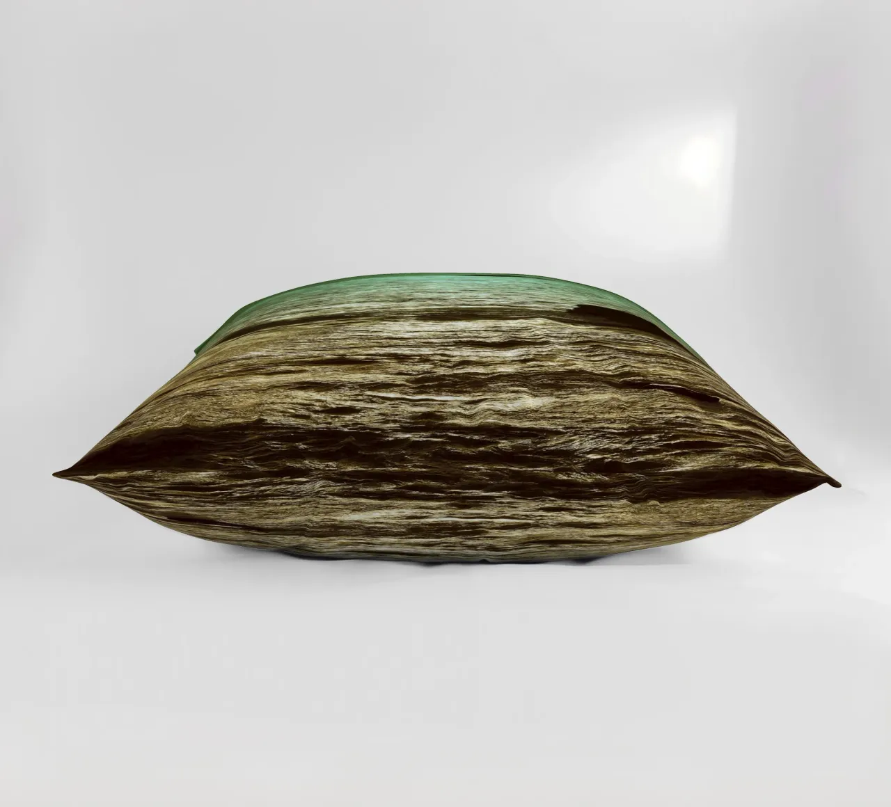 FAA120 decorative cushion by Thierry vobmann photography