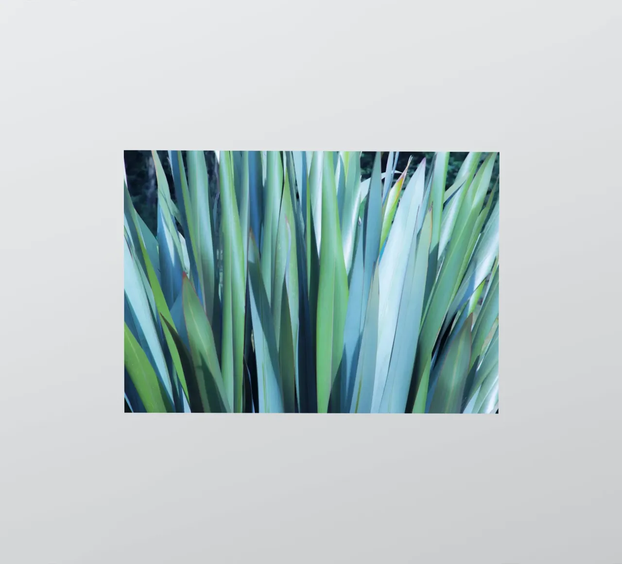 Green and Blue Leaves sticker by Teresa André