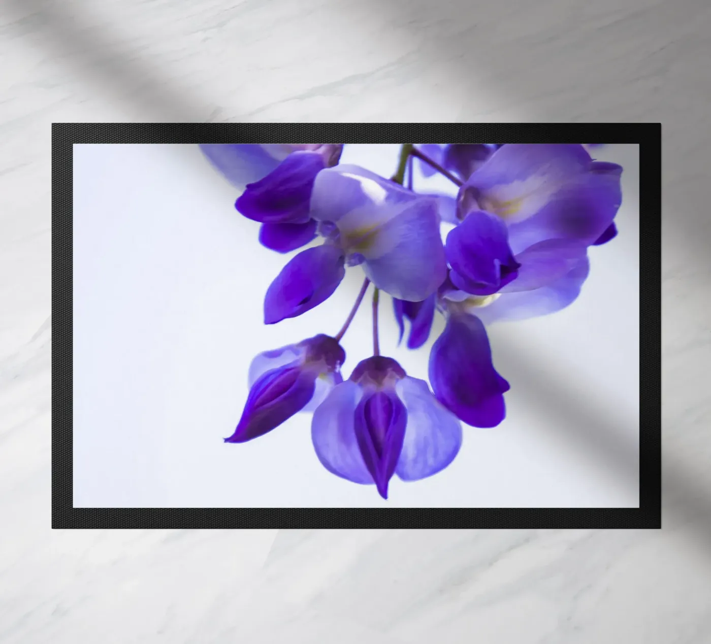 glicine zerbino da Teresa André