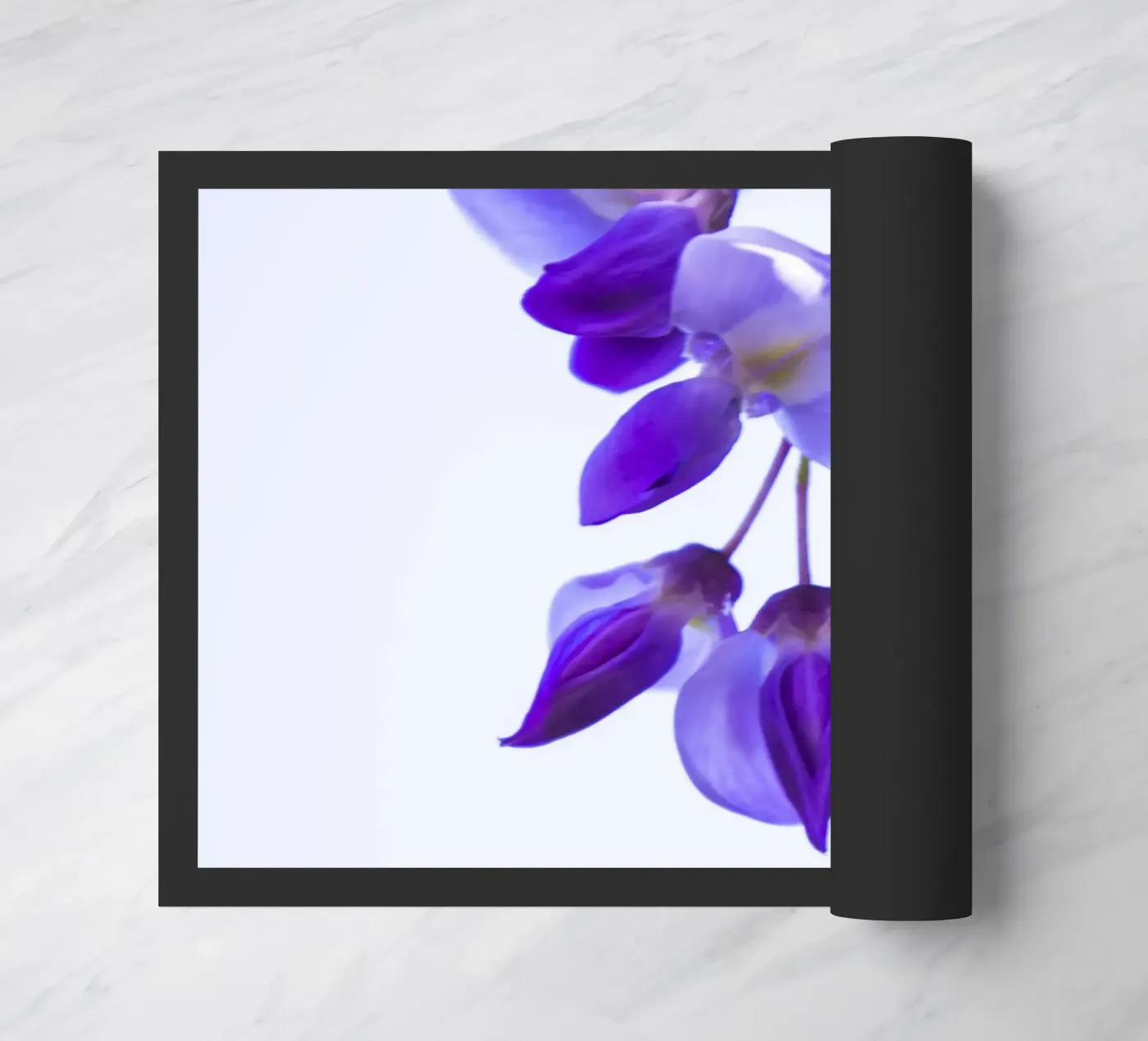 glicine zerbino da Teresa André