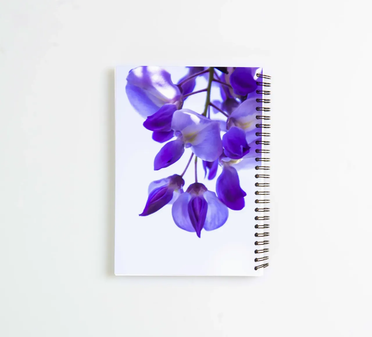 wisteria spiral notebook by Teresa André