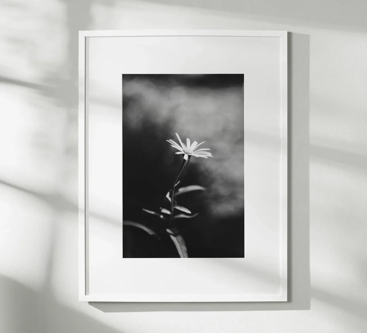 Zarte Blume im Fokus – Monochrome Ästhetik Hahnemühle von Bold and Retro