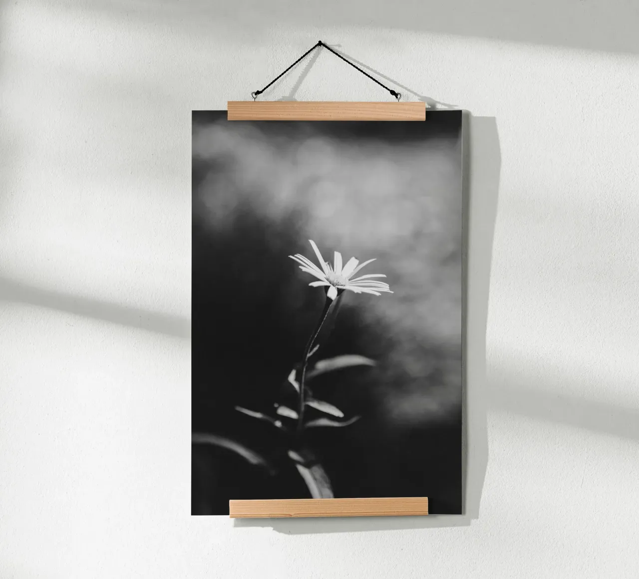 Zarte Blume im Fokus – Monochrome Ästhetik Hahnemühle von Bold and Retro