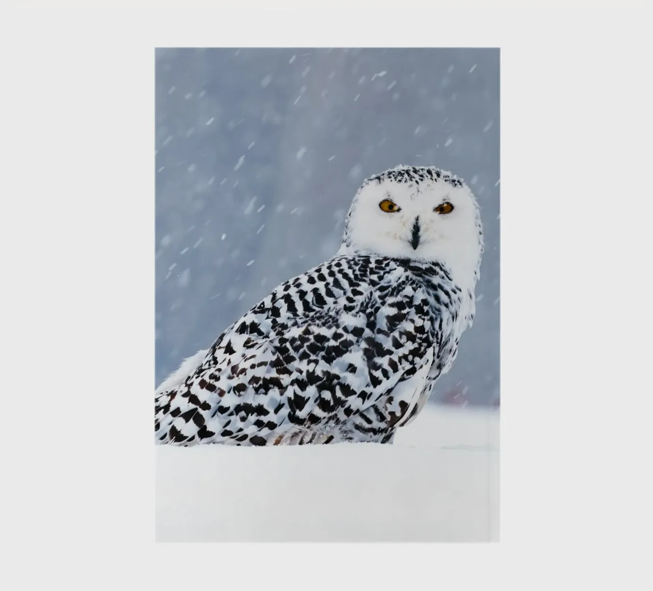 Snowy owl in winter magic notebook by Whole©