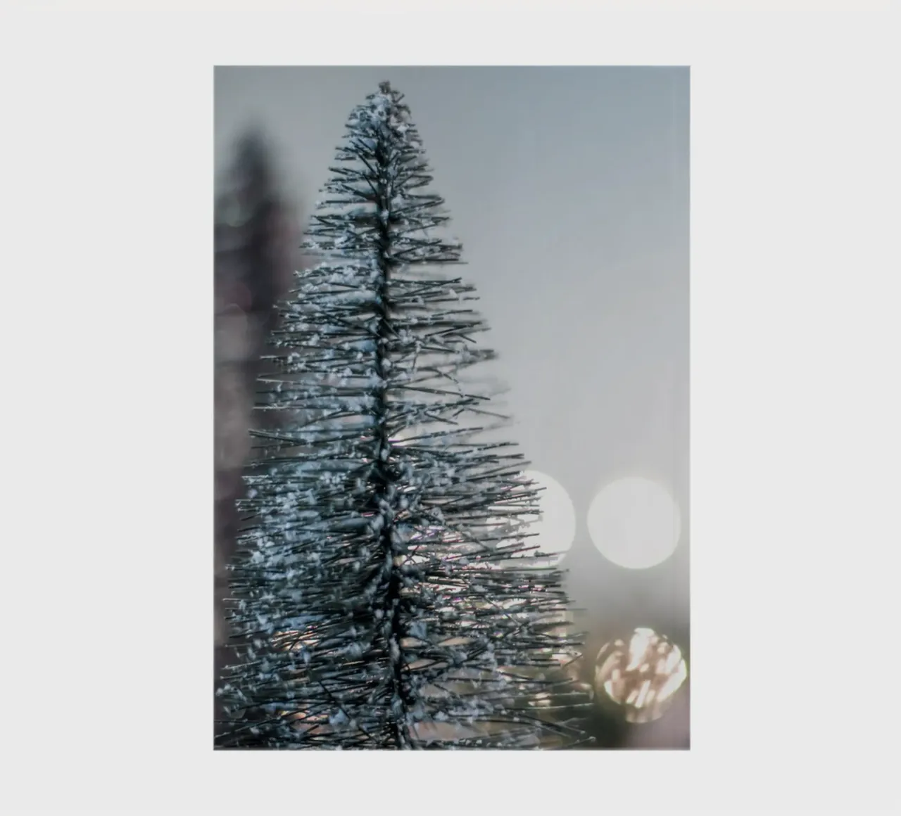 Winter mini tree magic notebook by Whole©