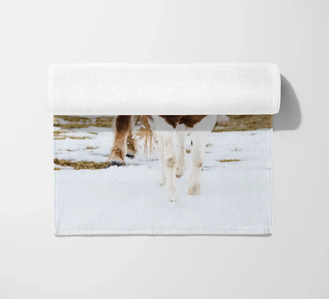 Cavalli islandesi in inverno telo mare da Whole©
