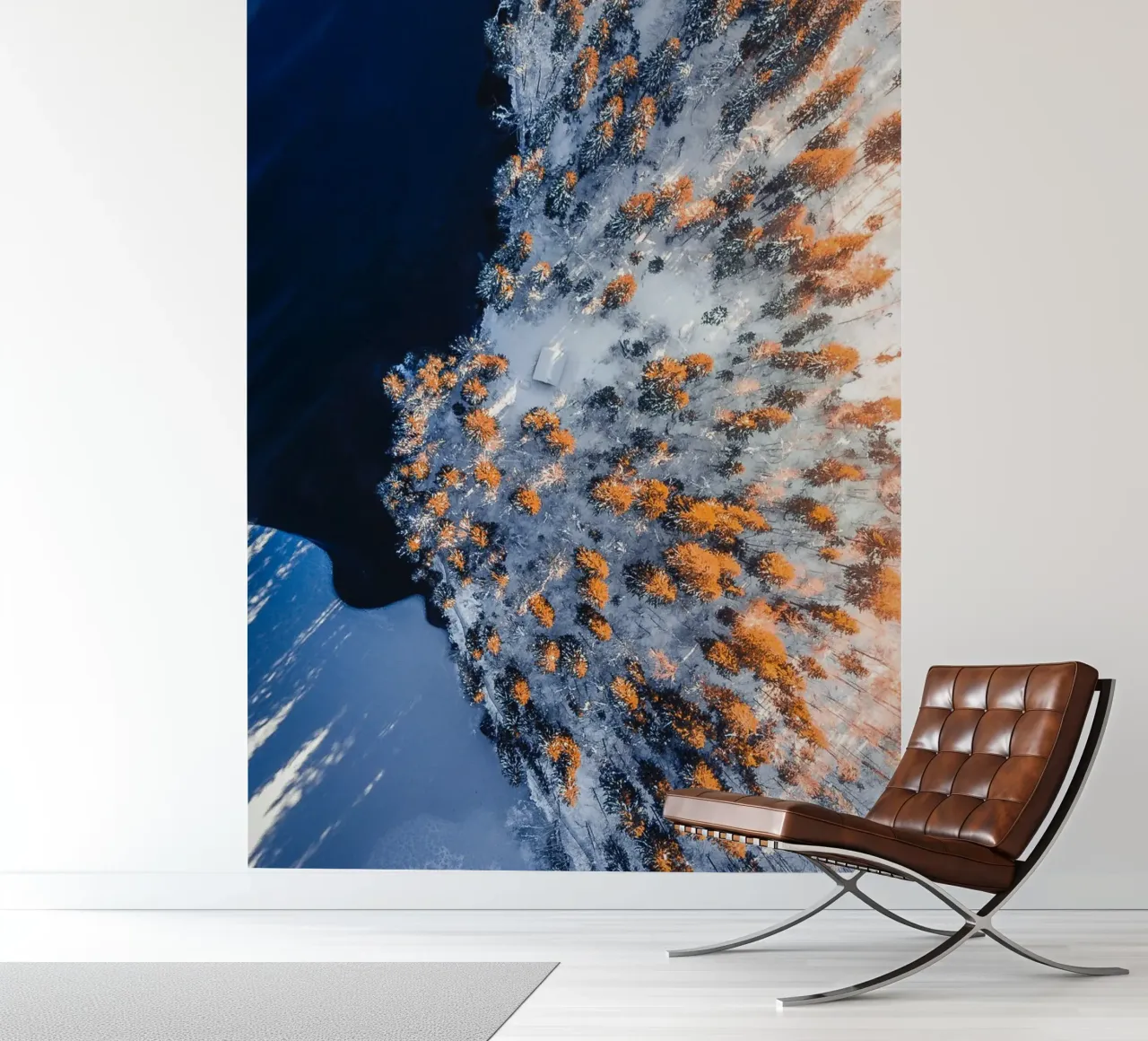Winter forest view photo wallpaper by Whole©