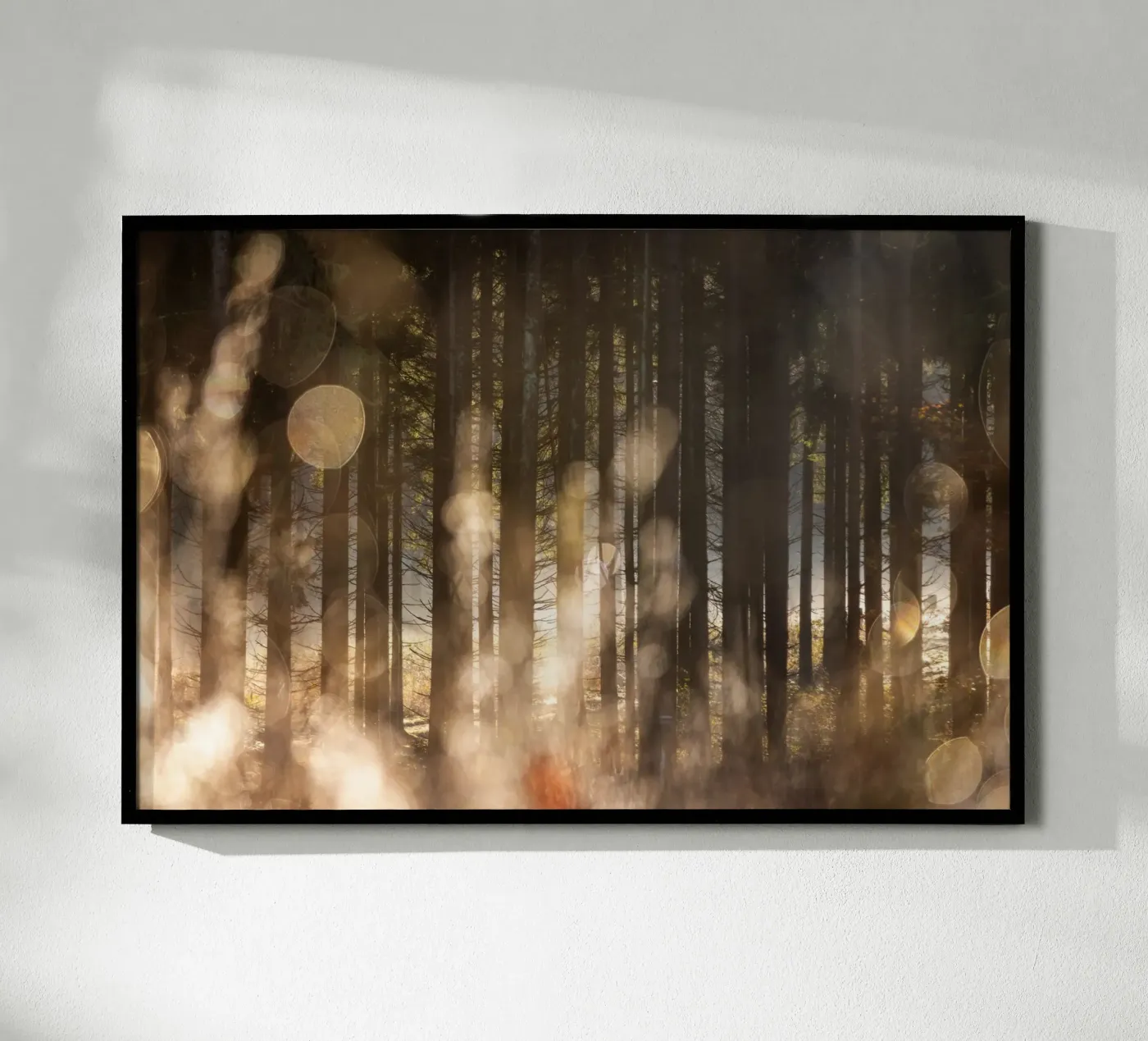 Forest Glow 2 poster da Mareike Böhmer Photography