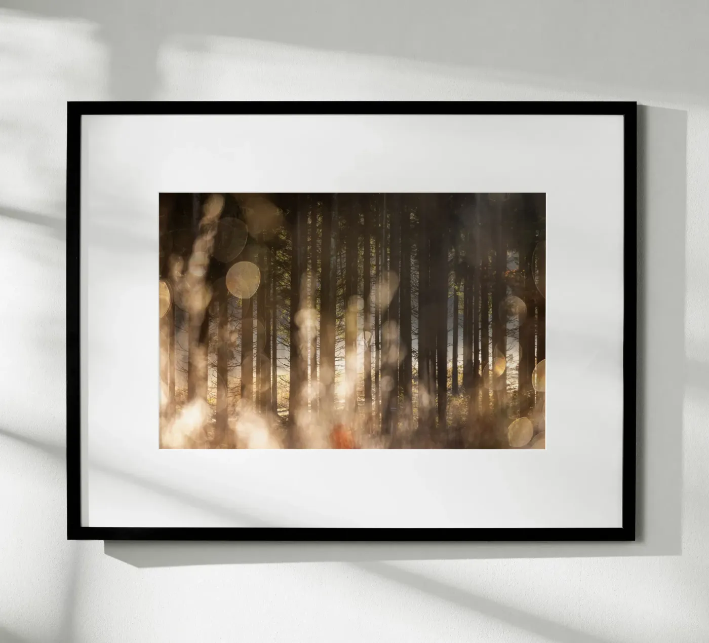 Forest Glow 2 poster da Mareike Böhmer Photography