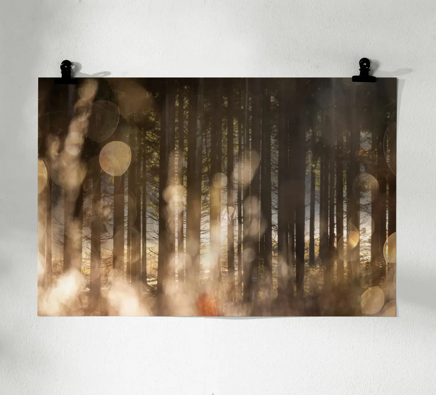 Forest Glow 2 poster da Mareike Böhmer Photography