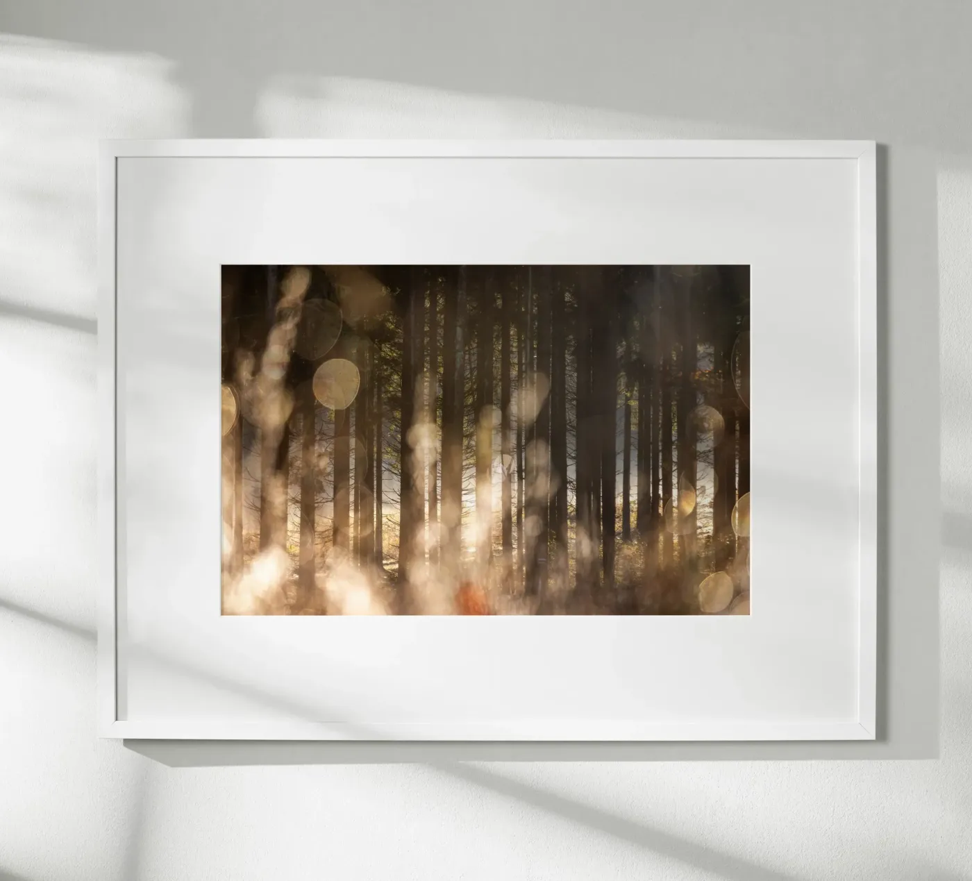 Forest Glow 2 poster da Mareike Böhmer Photography