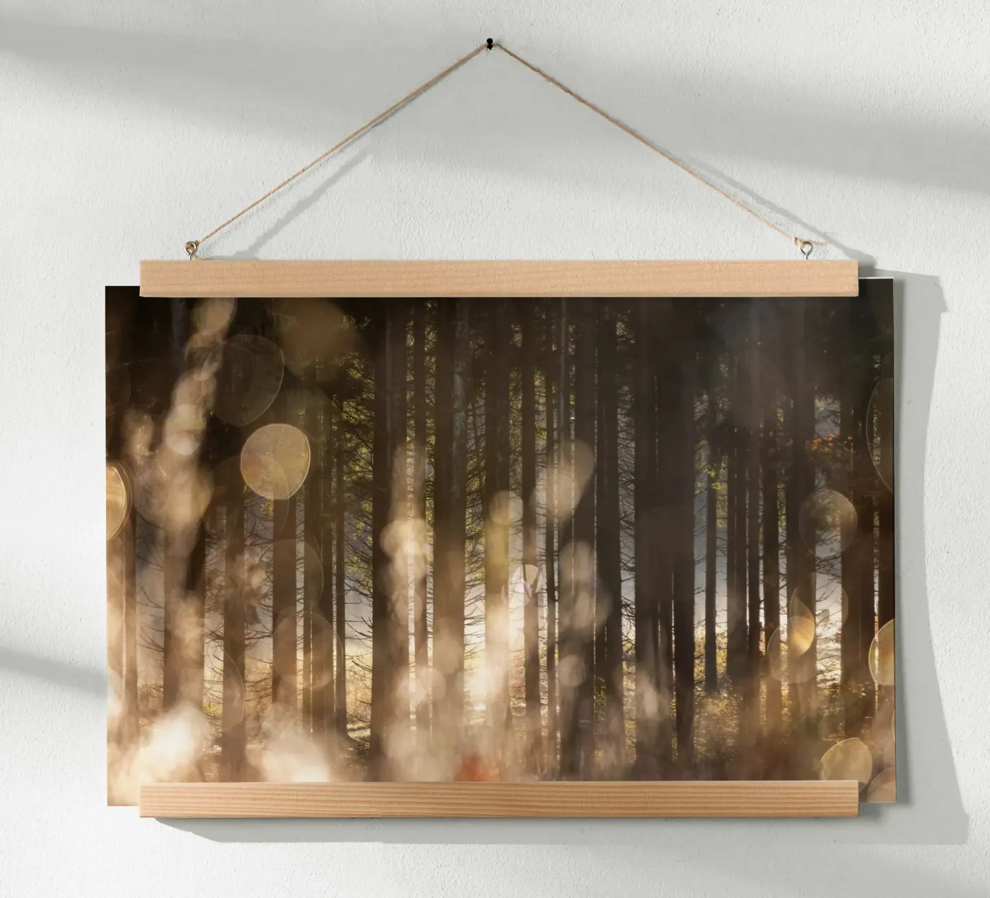 Forest Glow 2 poster da Mareike Böhmer Photography