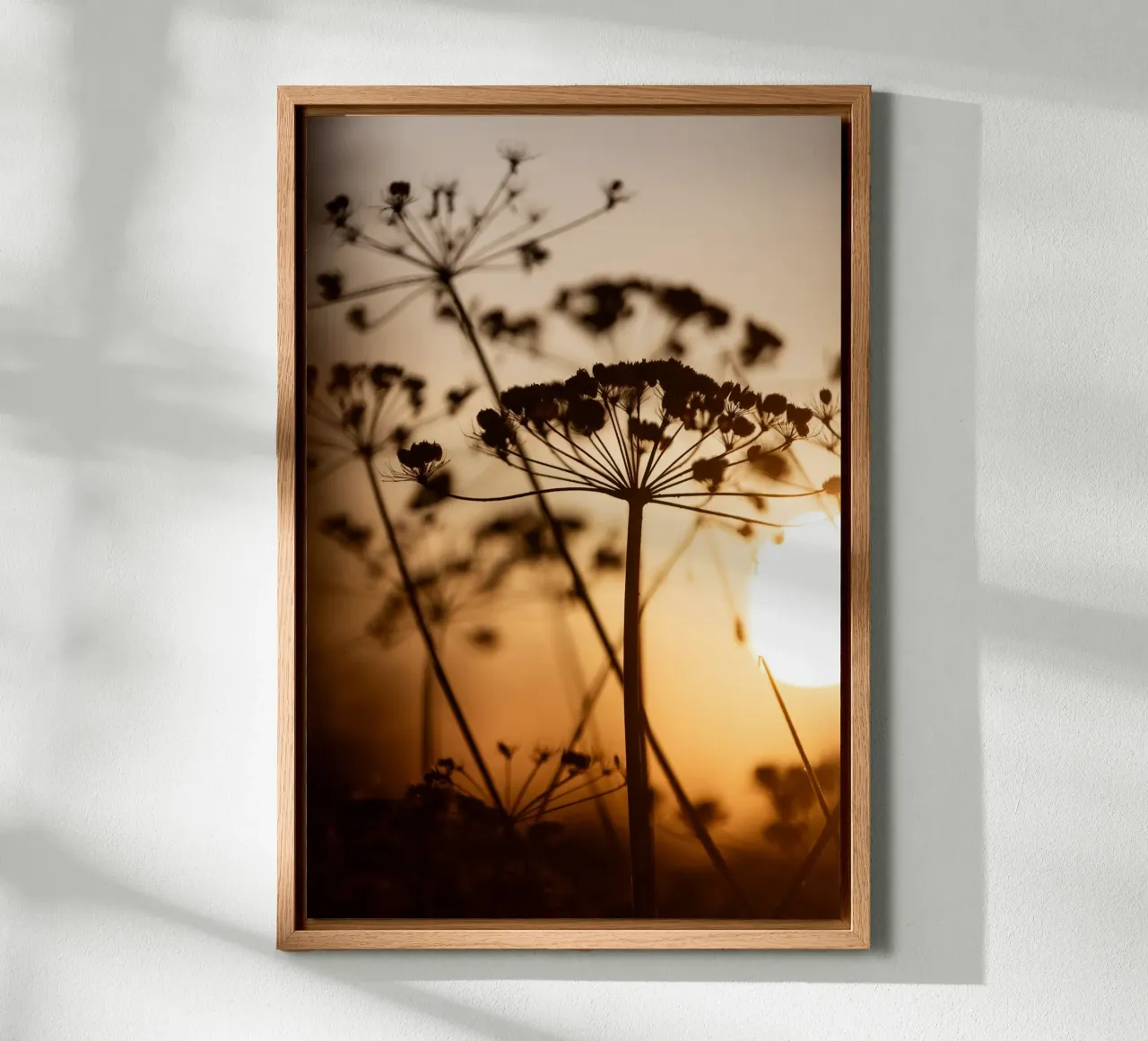 Golden Hour 1 alluminio dibond da Mareike Böhmer Photography