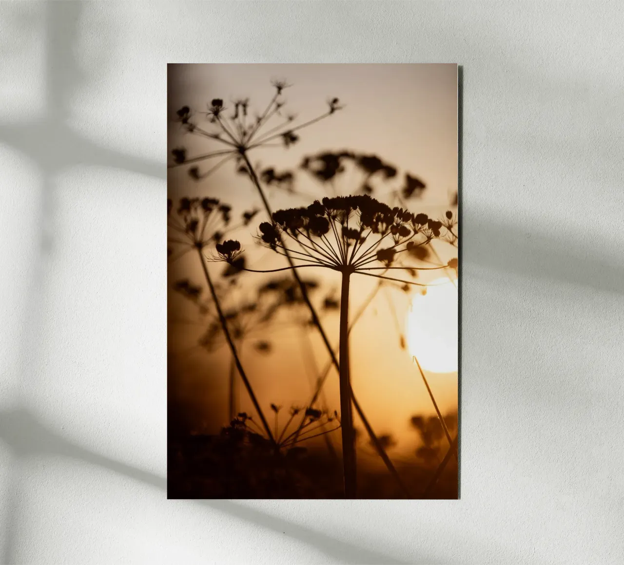 Golden Hour 1 alluminio dibond da Mareike Böhmer Photography
