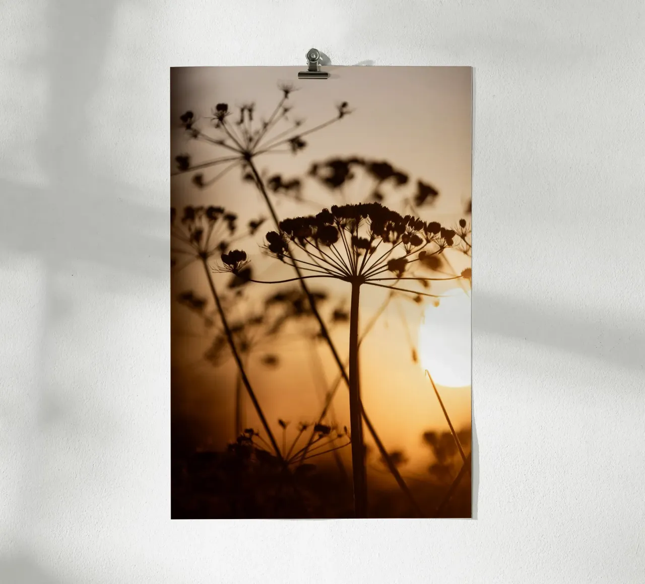 Golden Hour 1 carta hahnemühle da Mareike Böhmer Photography