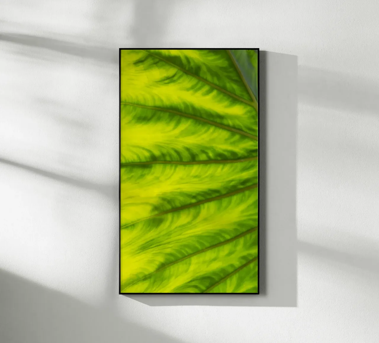 Green waves plexiglass da Teresa André