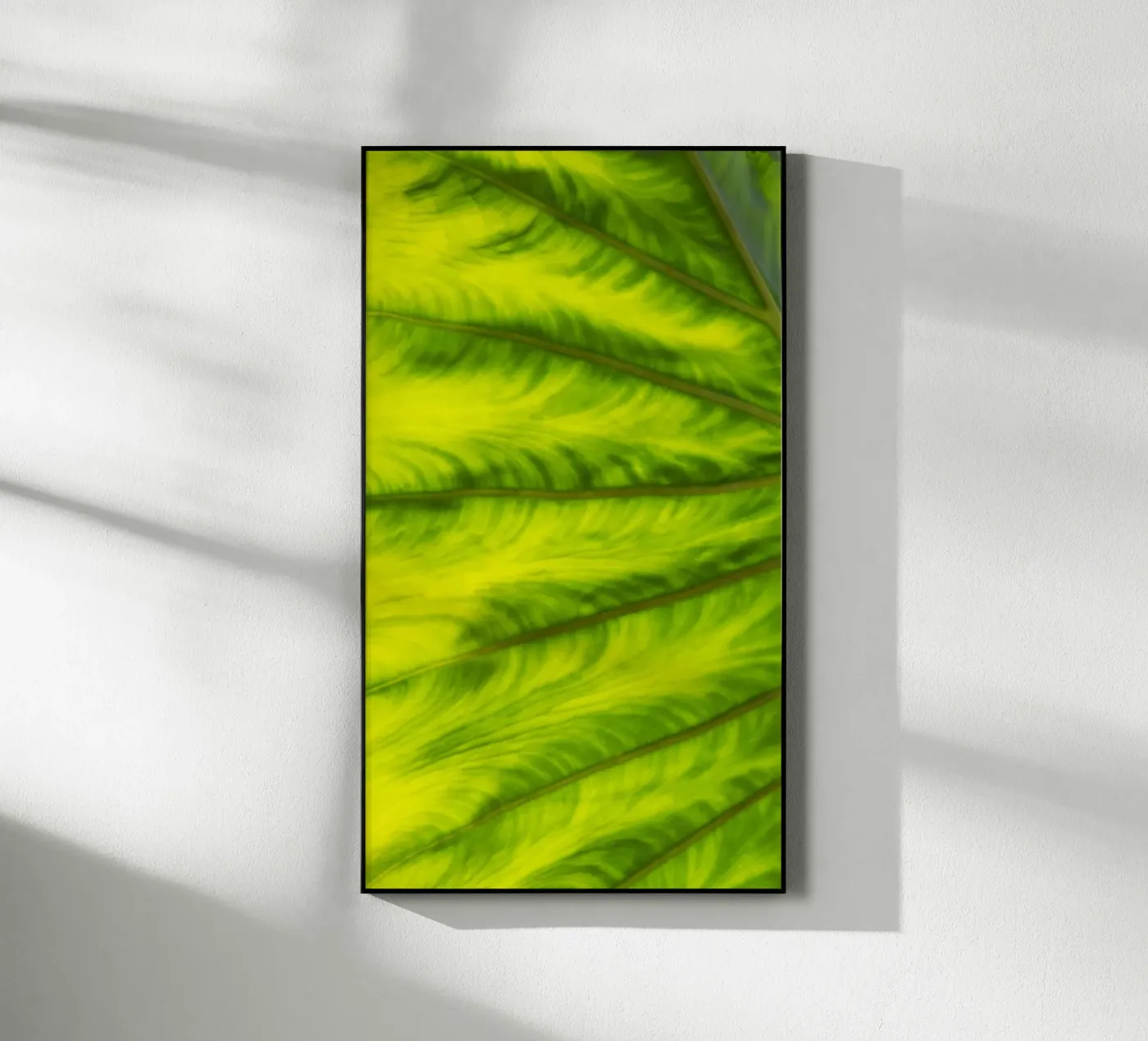 Vagues vertes plexiglas de Teresa André