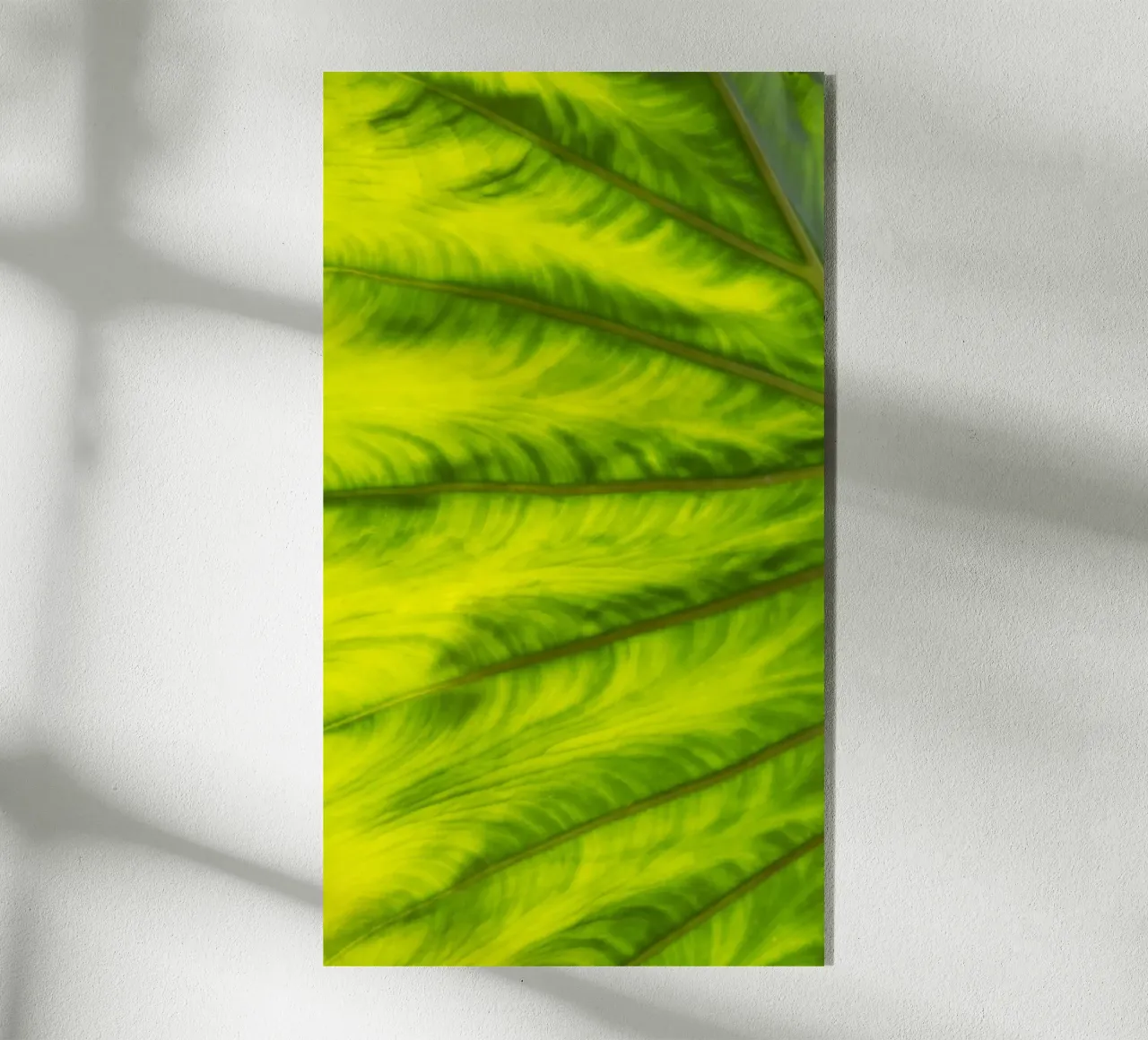 Green waves plexiglass da Teresa André