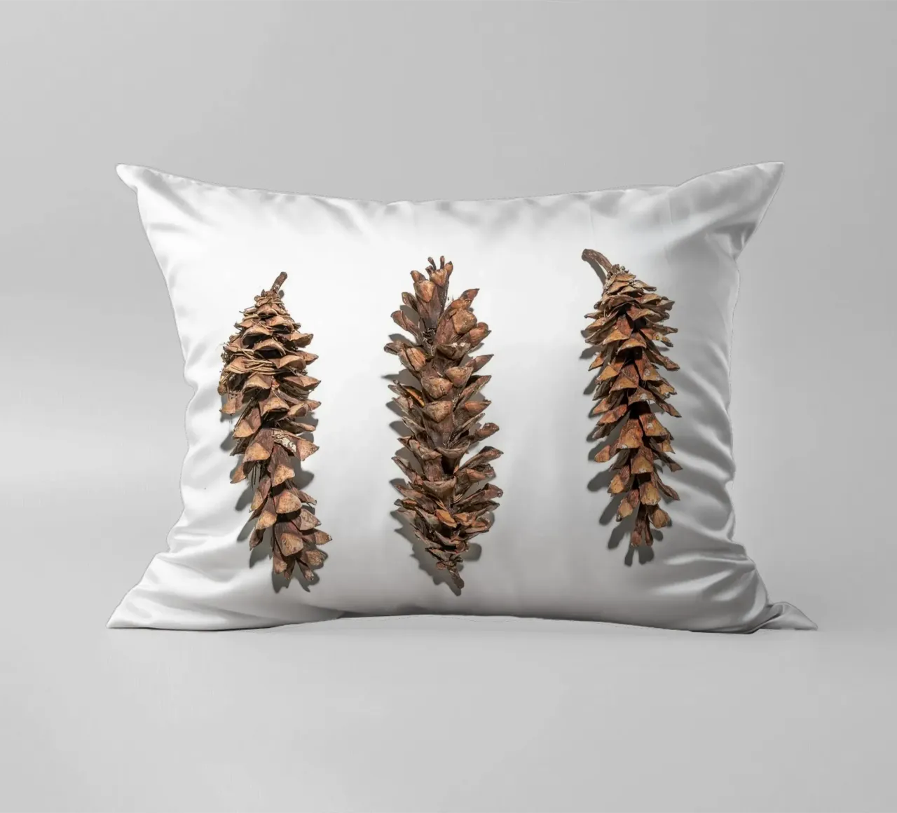 Pine cone art - Minimalist nature design decorative cushion by Whole©