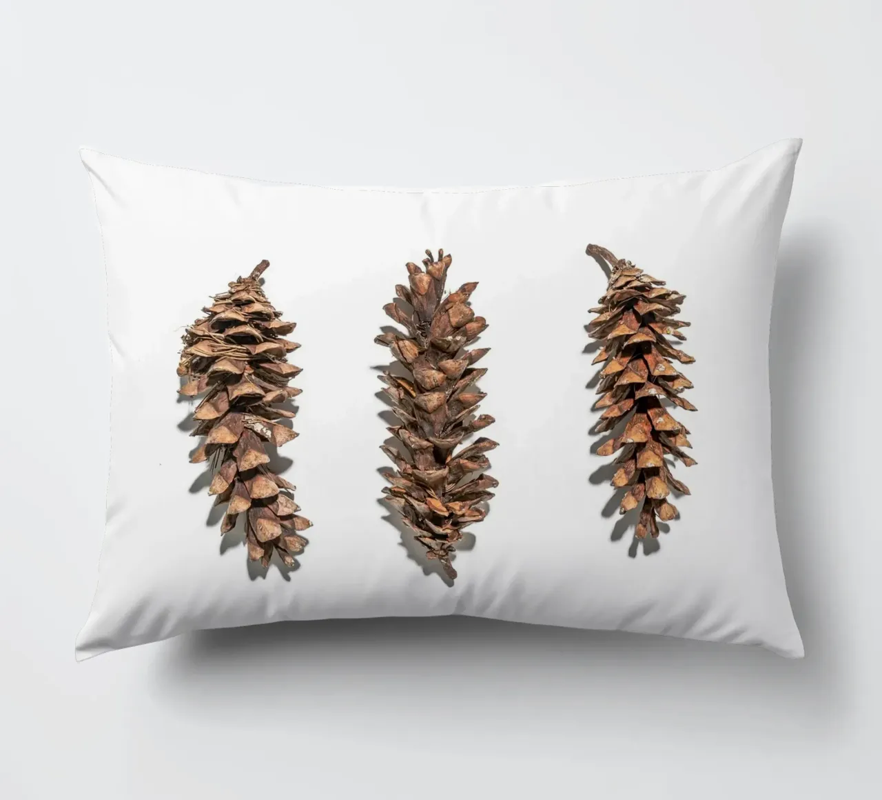 Pine cone art - Minimalist nature design decorative cushion by Whole©