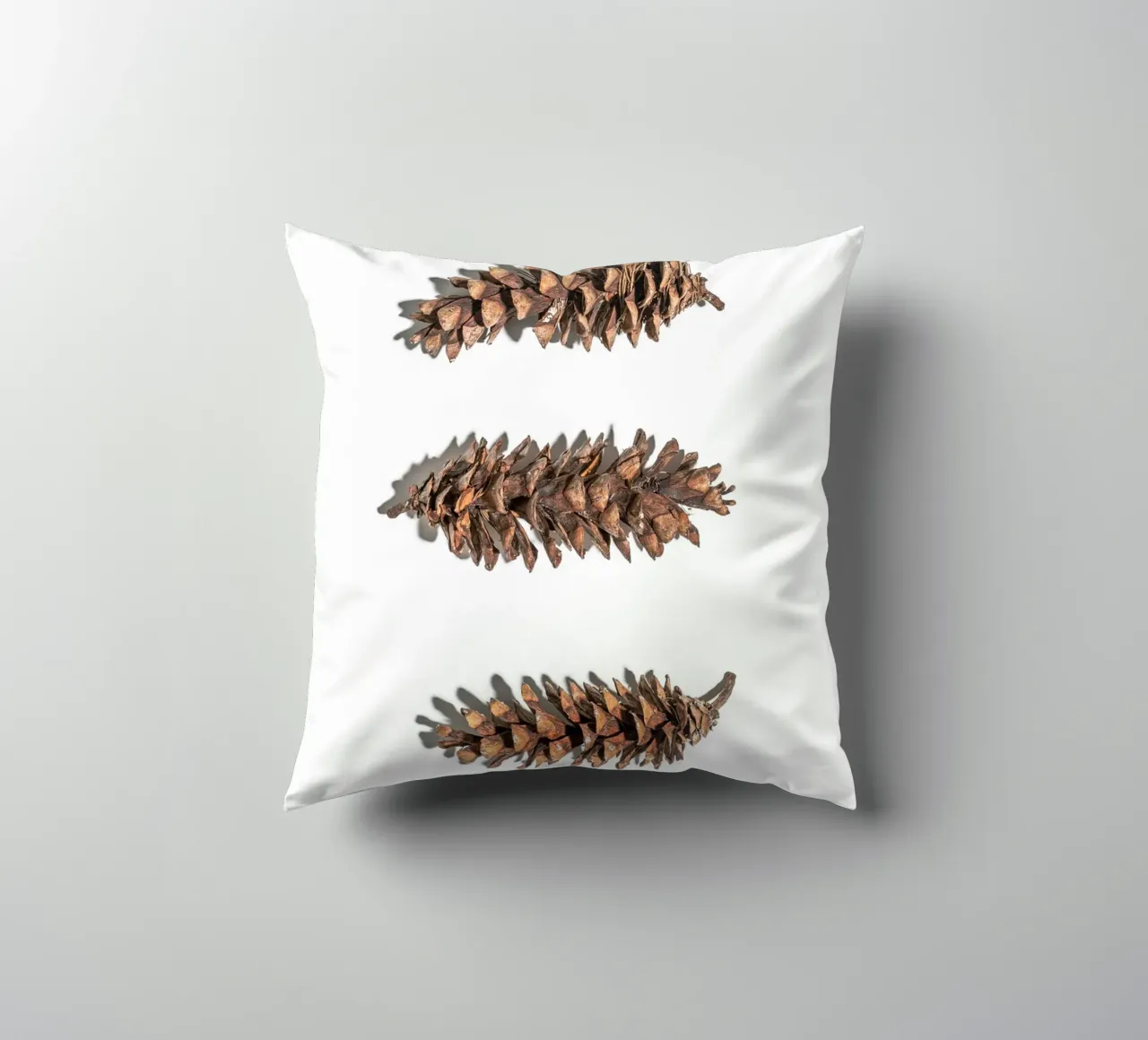 Pine cone art - Minimalist nature design decorative cushion by Whole©