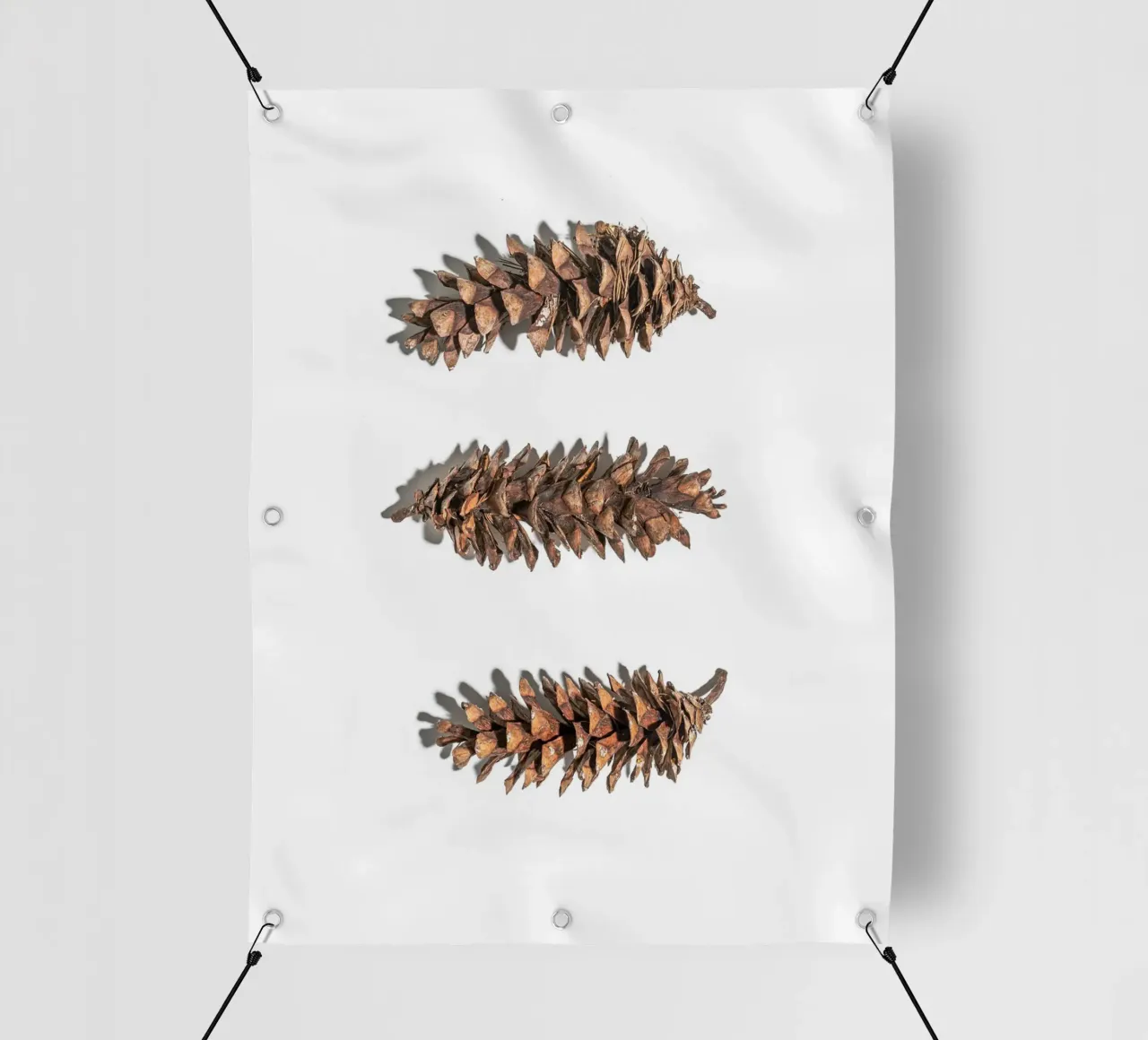 Arte delle pigne - Design naturalistico minimalista telo in pvc da Whole©