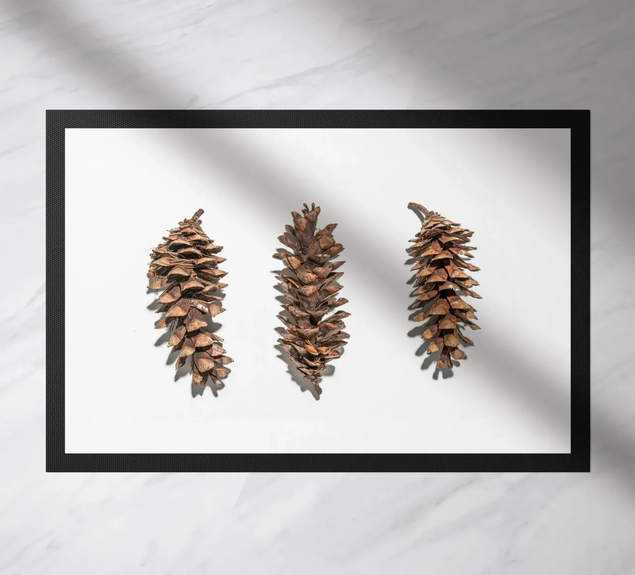 Arte delle pigne - Design naturalistico minimalista zerbino da Whole©