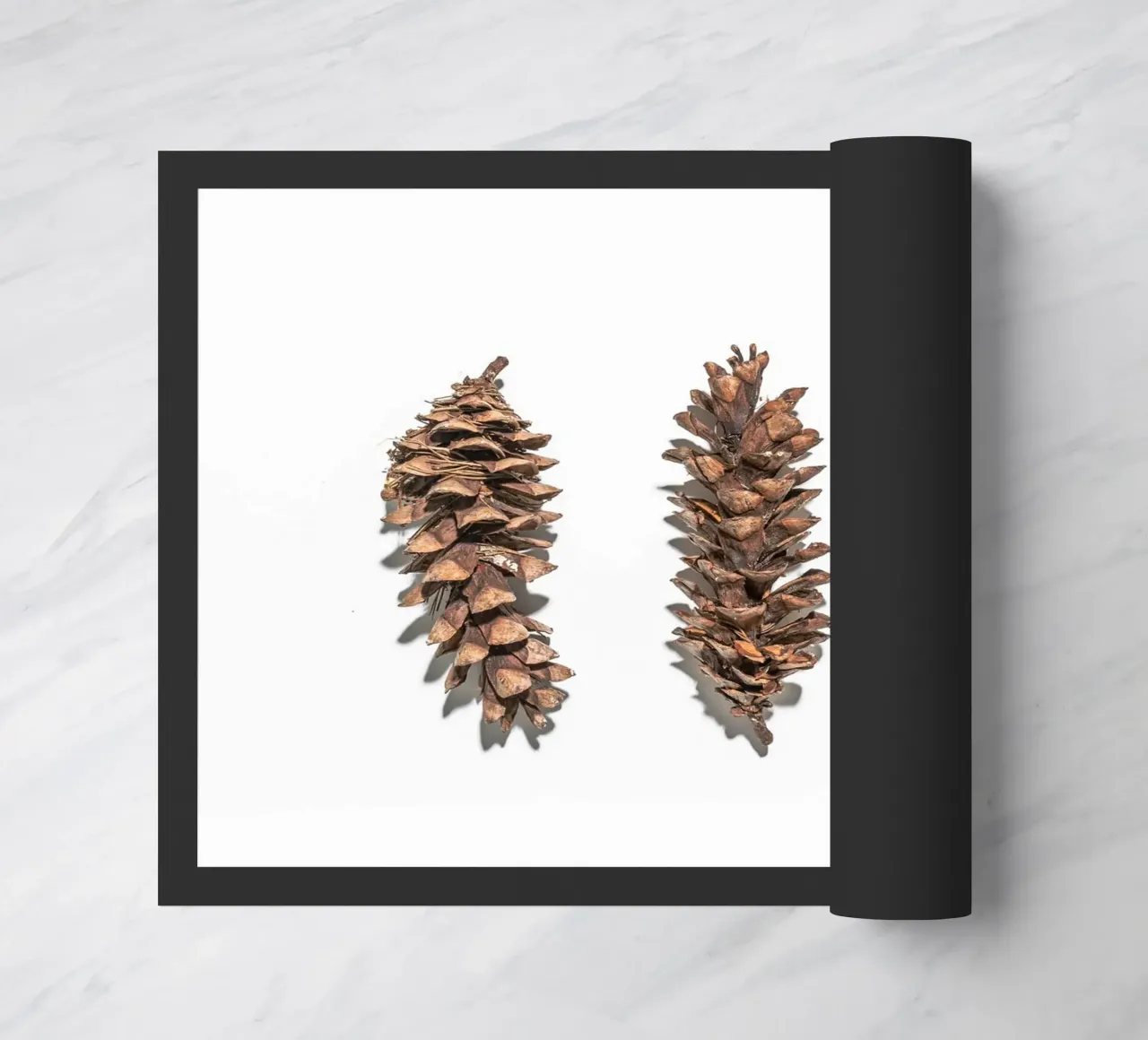 Arte delle pigne - Design naturalistico minimalista zerbino da Whole©