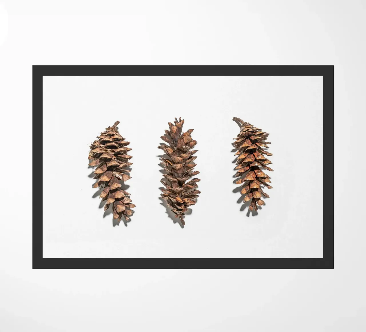 Arte delle pigne - Design naturalistico minimalista zerbino da Whole©