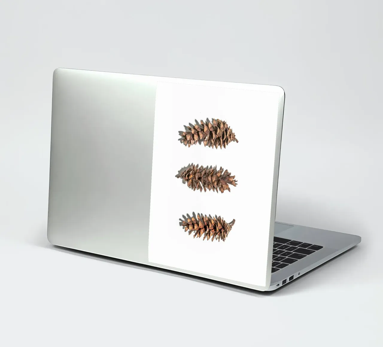 Pine cone art - Minimalist nature design sticker by Whole©